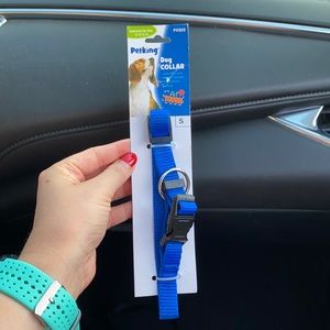 Perking Small Dog Collar